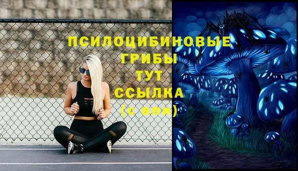 гашиш Аркадак