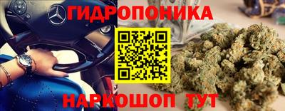 хмурый Краснодар