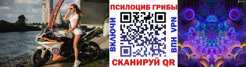 Галлюциногенные грибы ЛСД  blacksprut   Долгопрудный  сколько стоит 